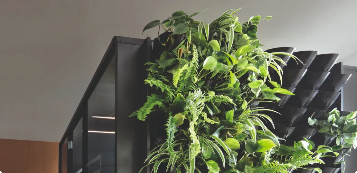greenwalls in aktion
