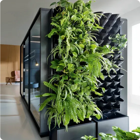greenwalls in aktion