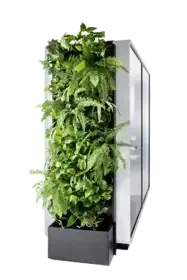 greenWalls